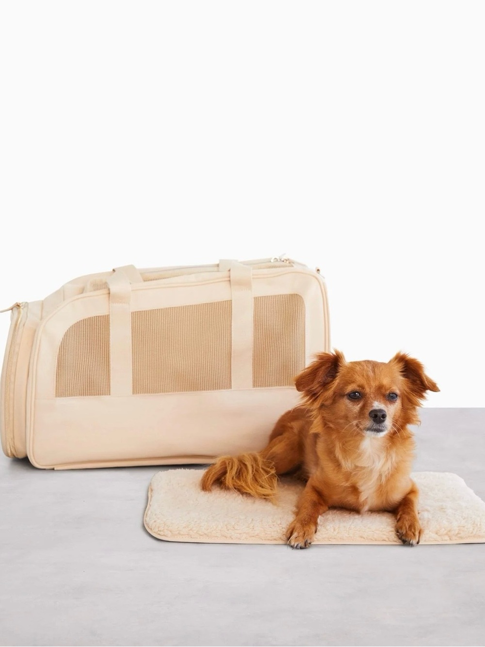 BÉIS Regulation Pet Travel Carrier – Black NWOT - Picture 7 of 9